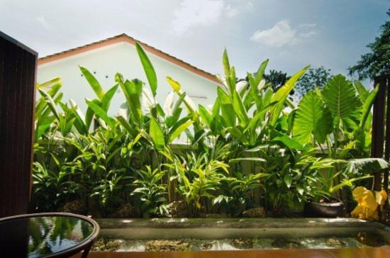 Mydream Guest House 怡保 外观 照片